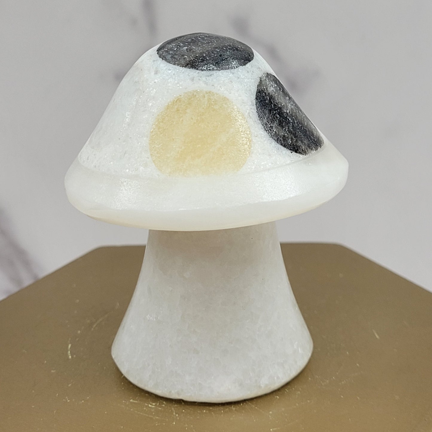 Mexican Onyx mushroom