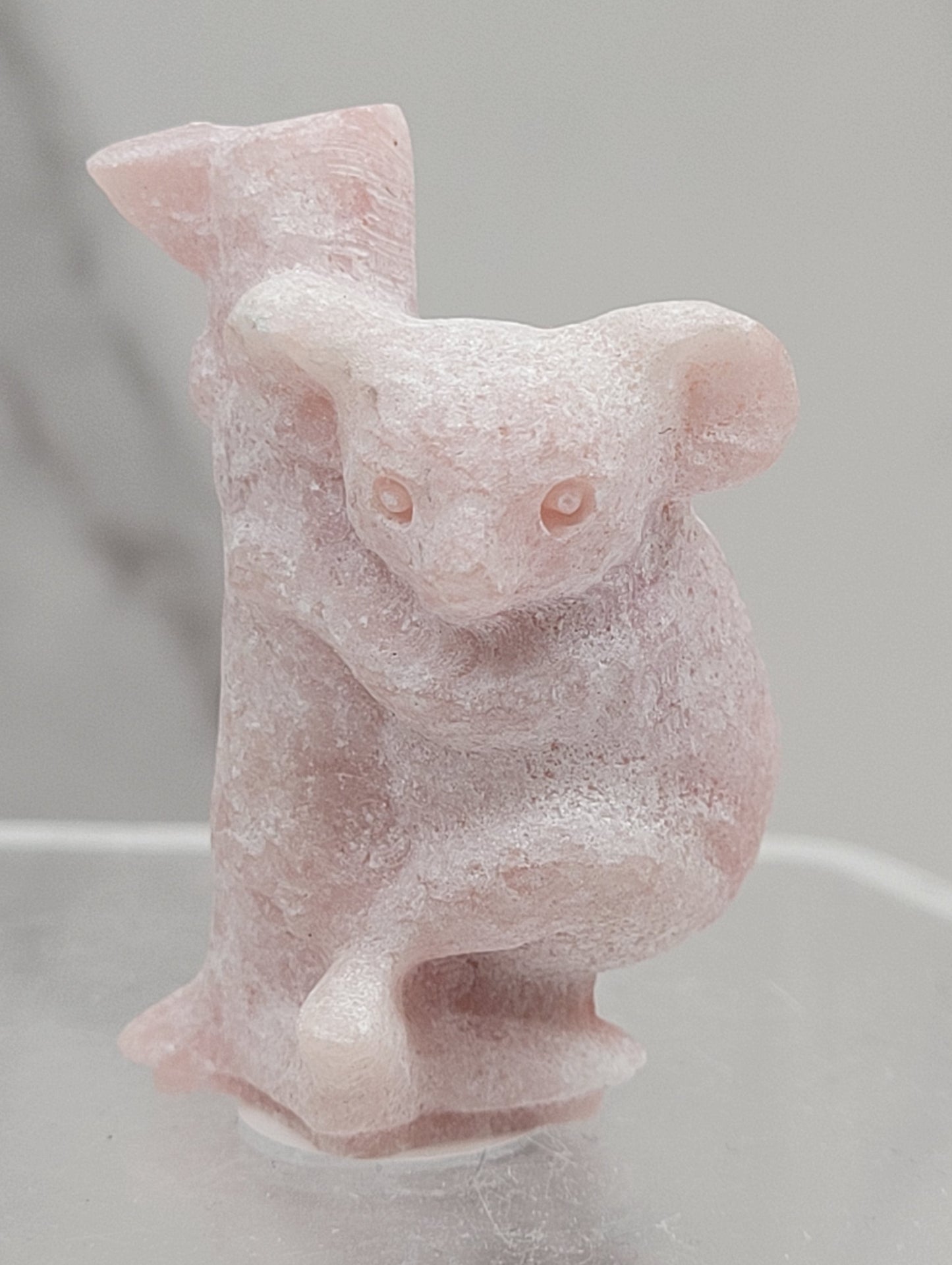 Koala on tree carving (small)