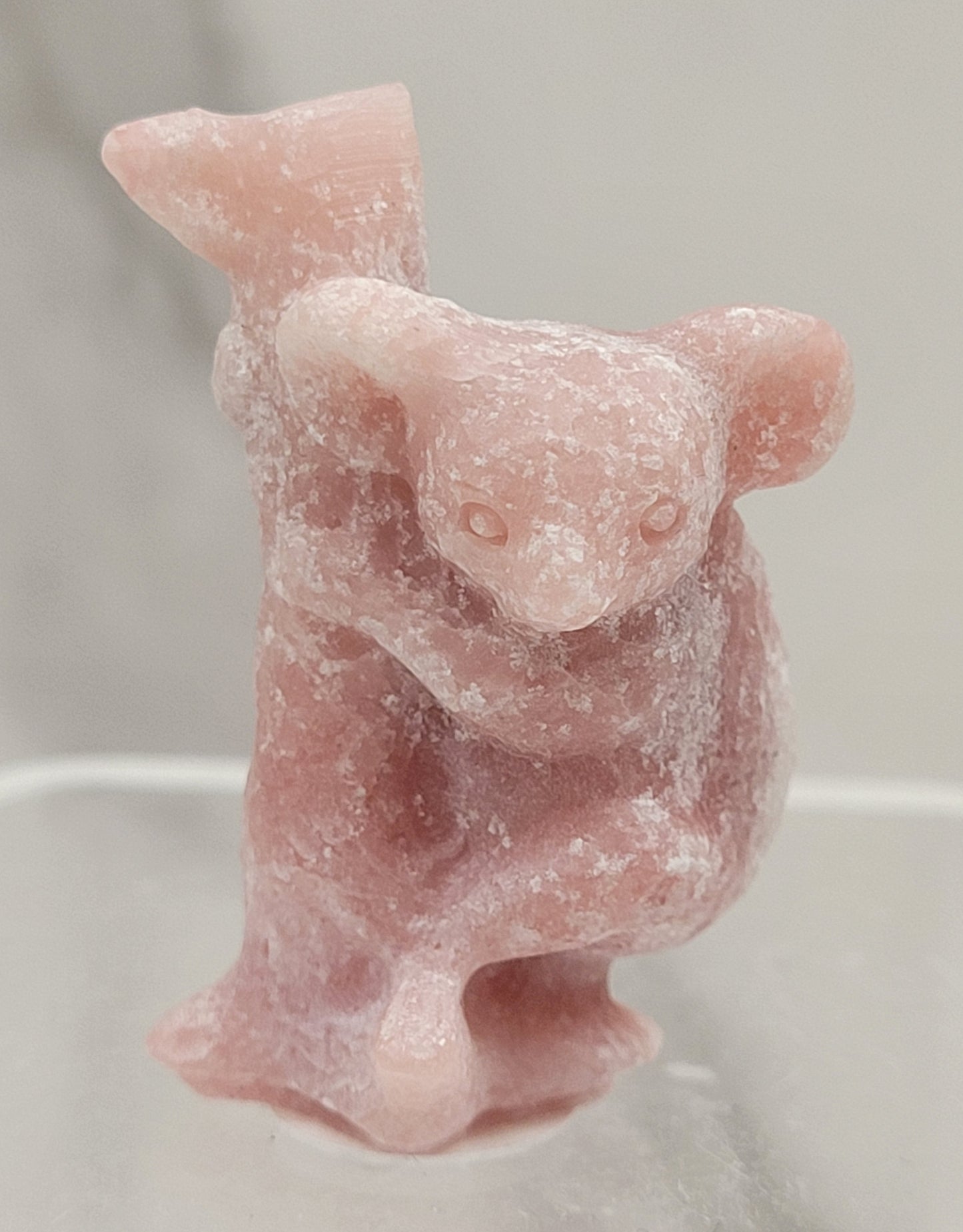 Koala on tree carving (small)