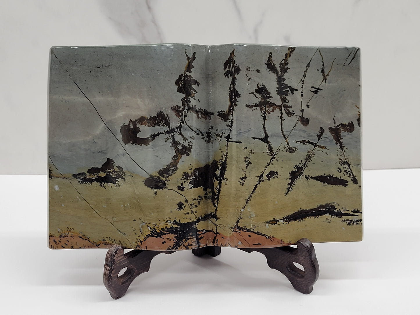 Picture Jasper book