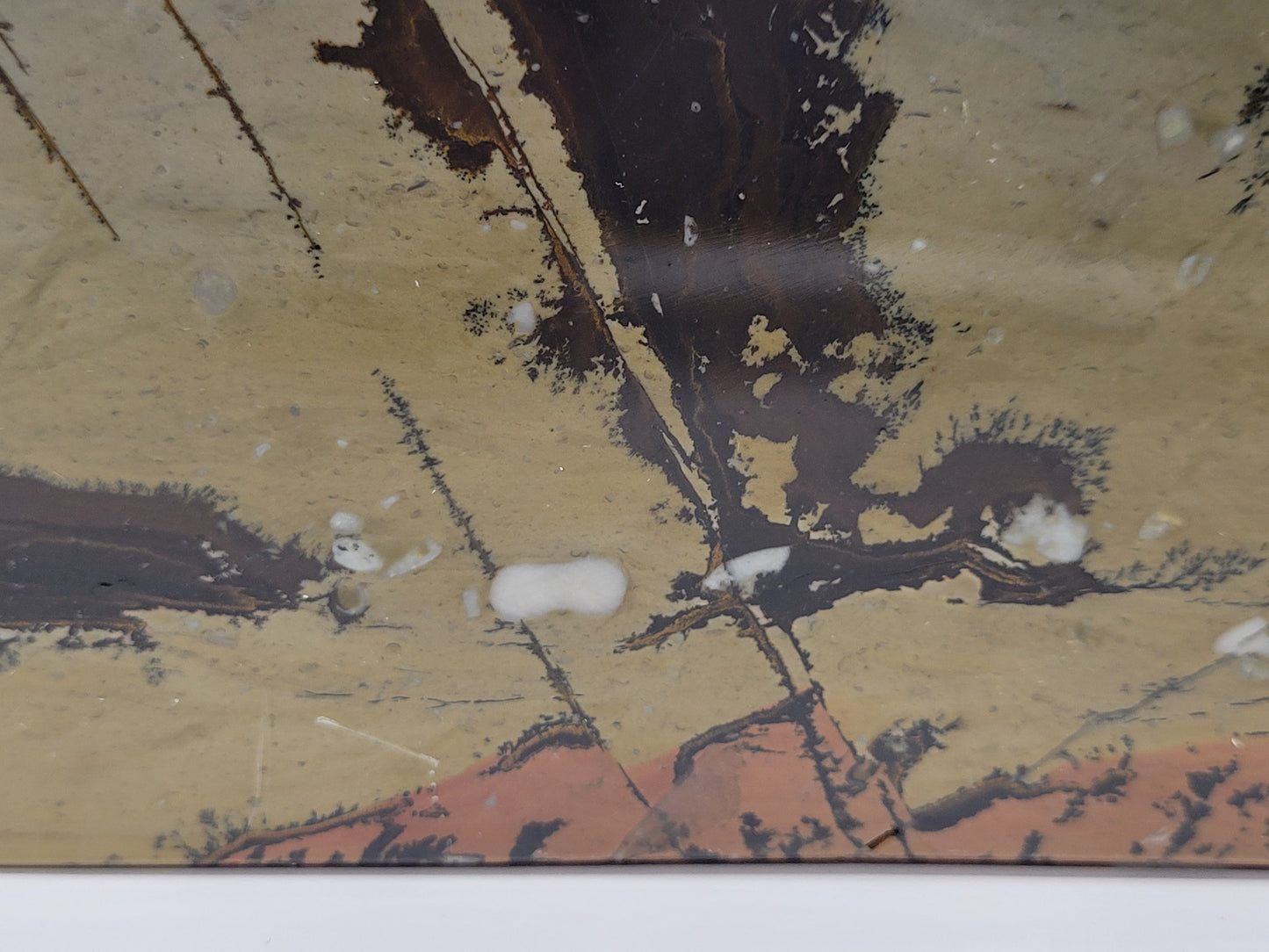 Picture Jasper book