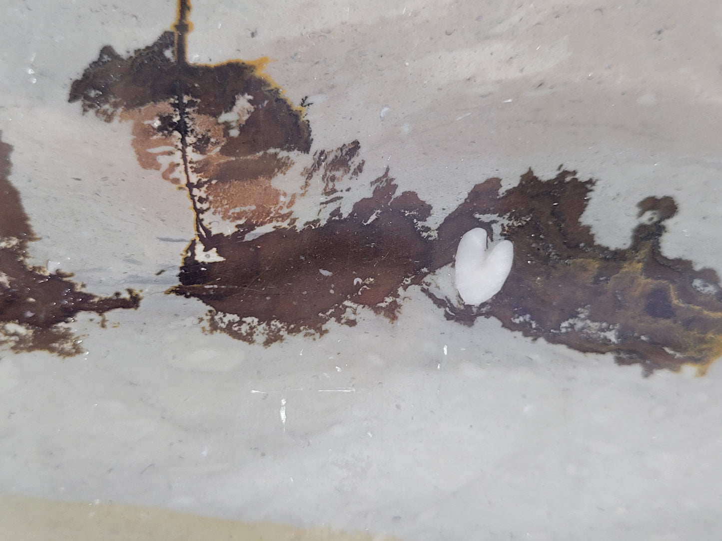 Picture Jasper book
