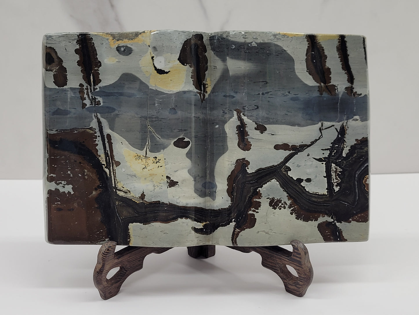 Picture Jasper book