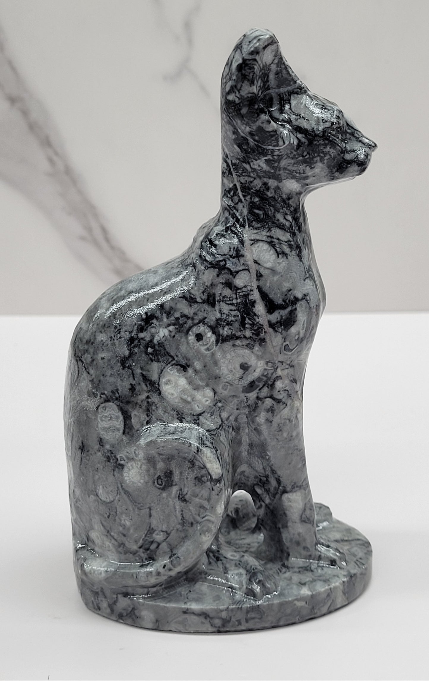 Egyptian Cat (Mau cat) (large)