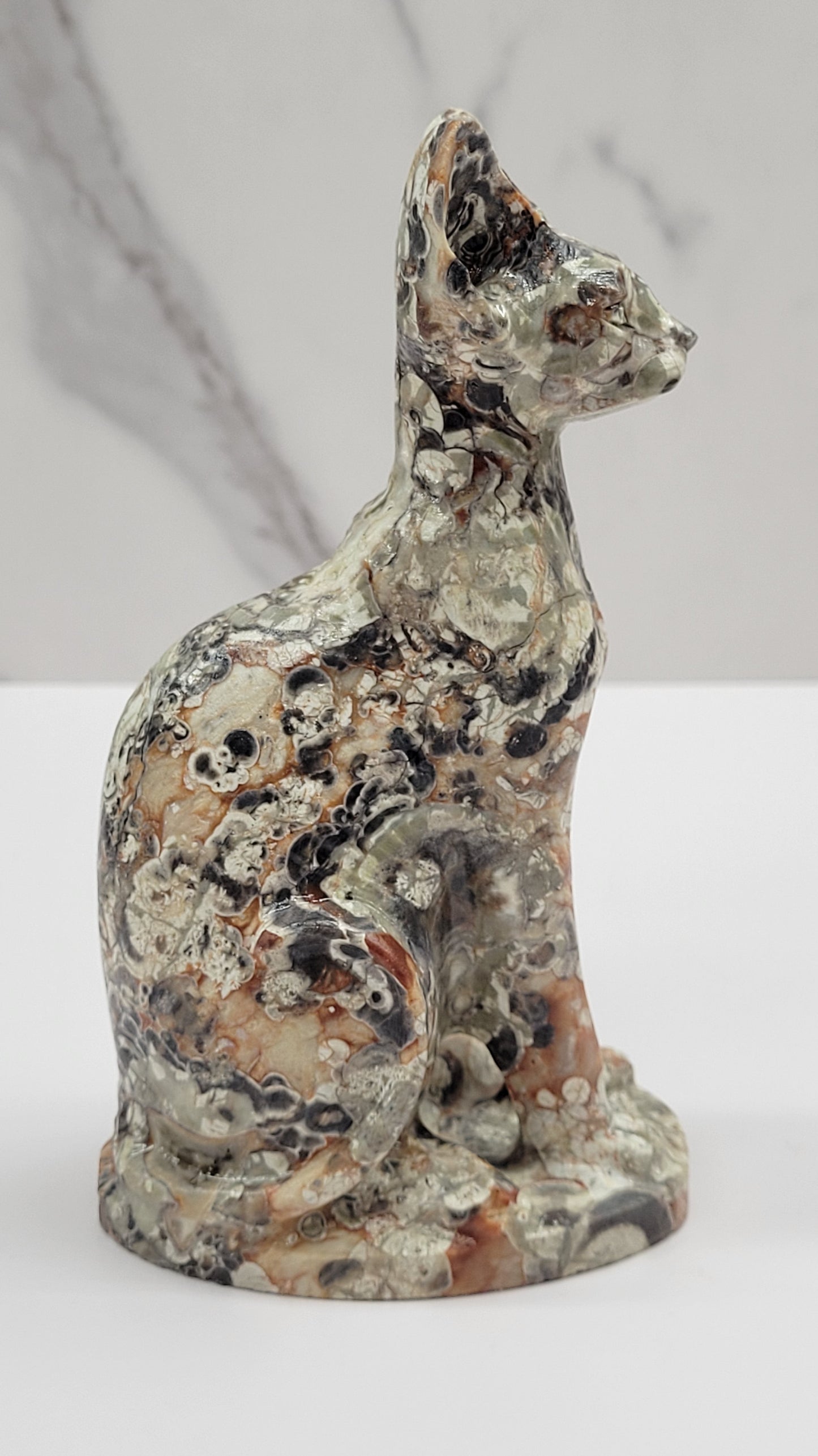 Egyptian Cat (Mau cat) (large)