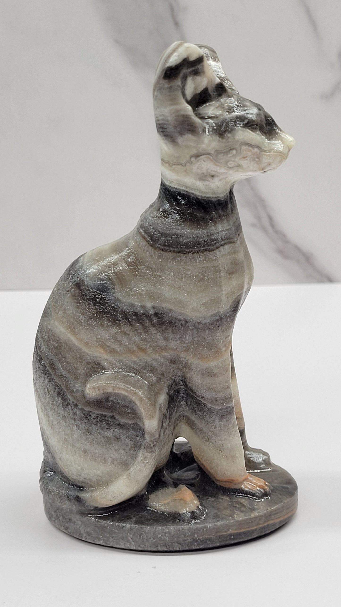 Egyptian Cat (Mau cat) (large)