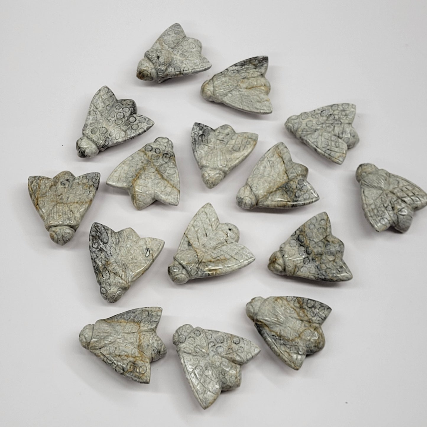 Fossil Coral Jasper bee