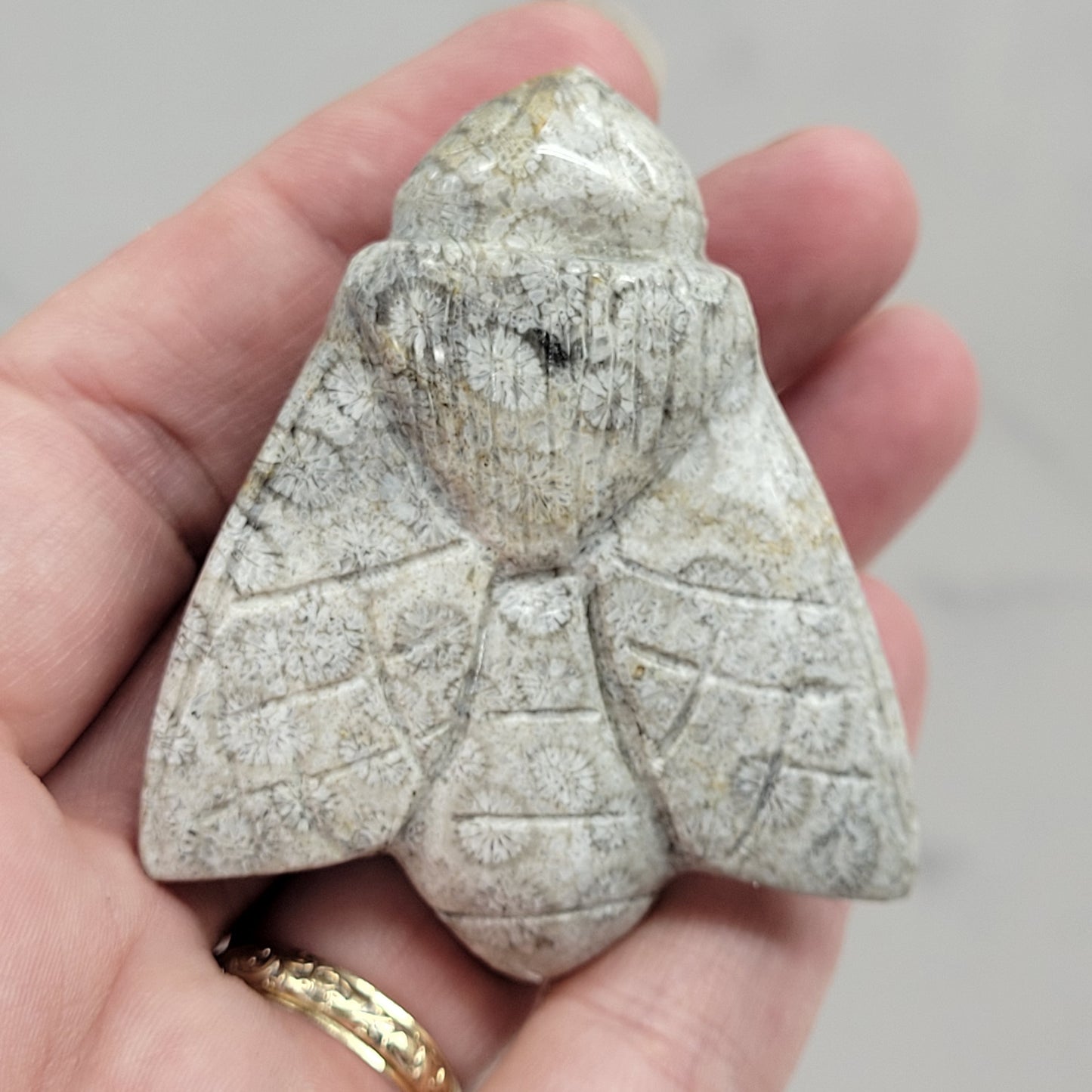Fossil Coral Jasper bee