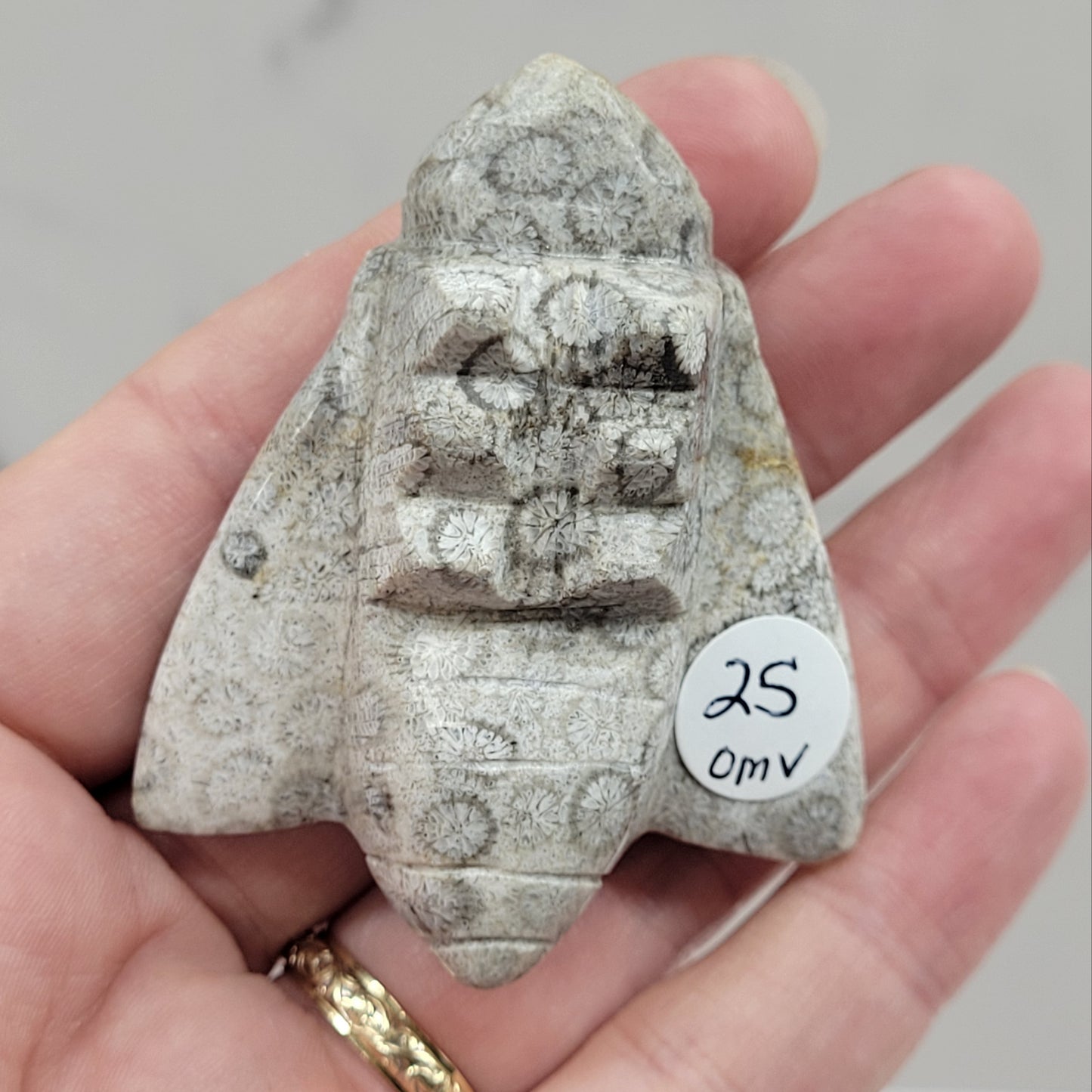 Fossil Coral Jasper bee