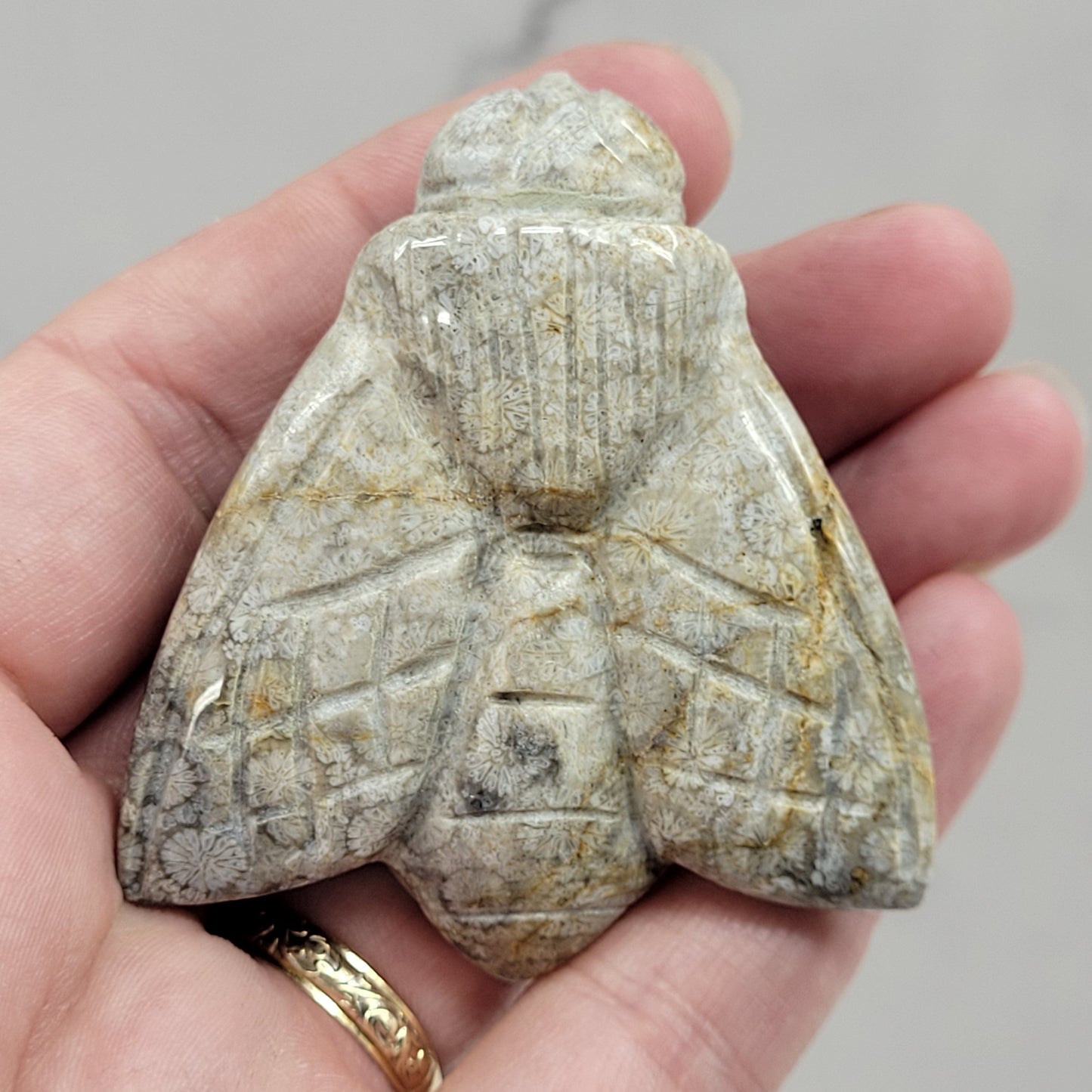 Fossil Coral Jasper bee