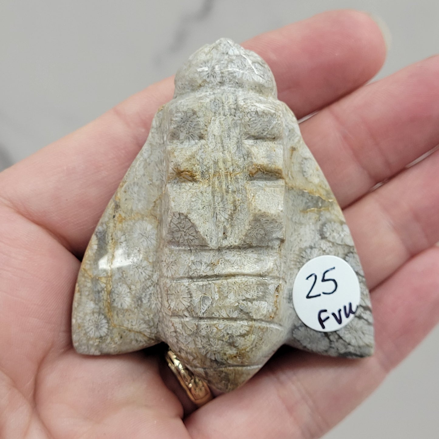 Fossil Coral Jasper bee