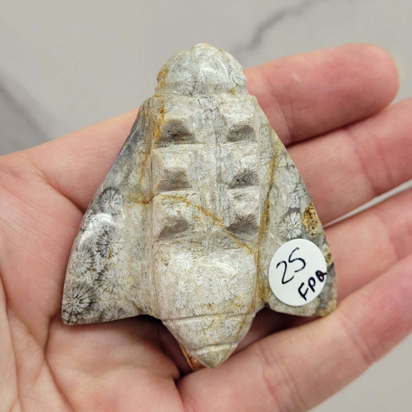 Fossil Coral Jasper bee