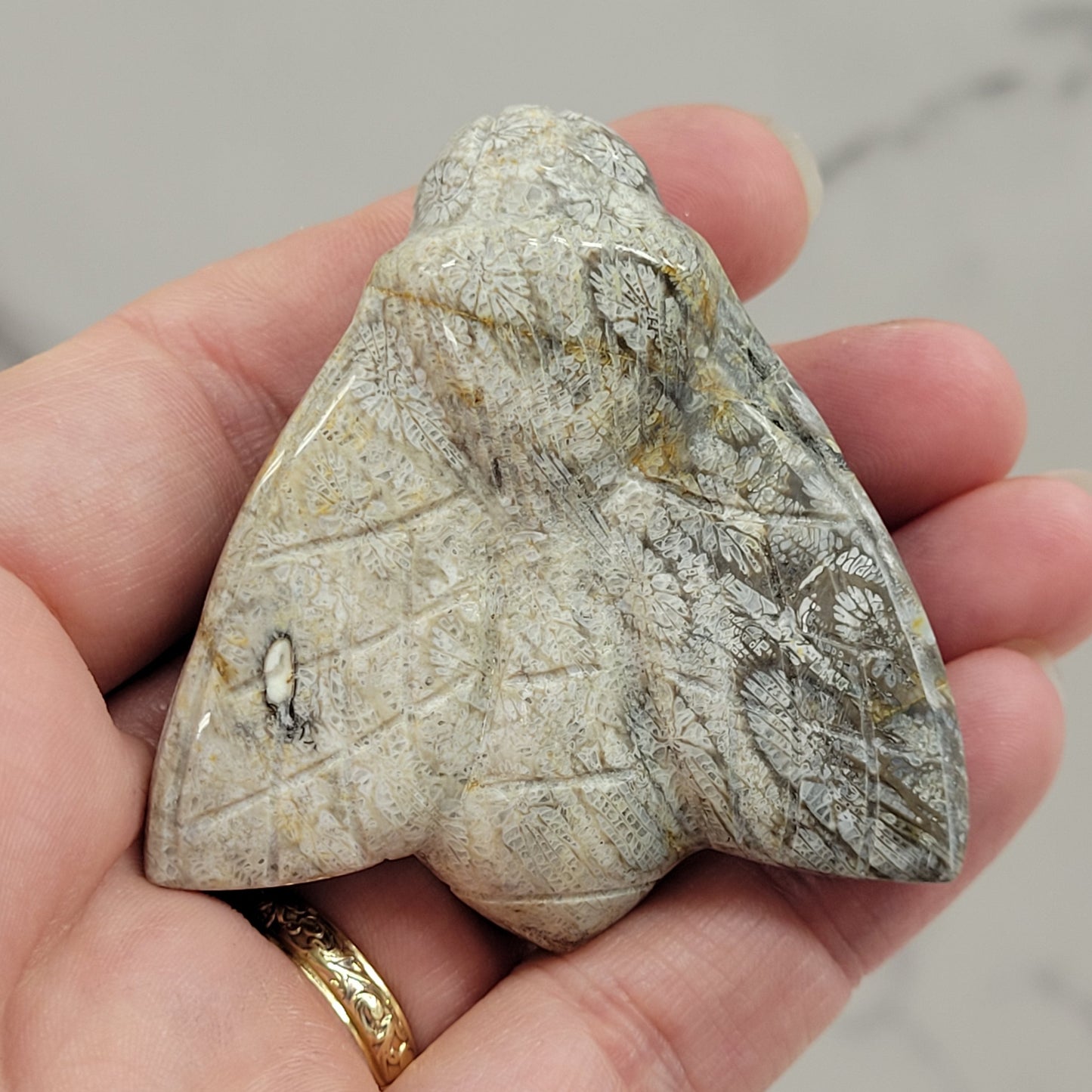 Fossil Coral Jasper bee