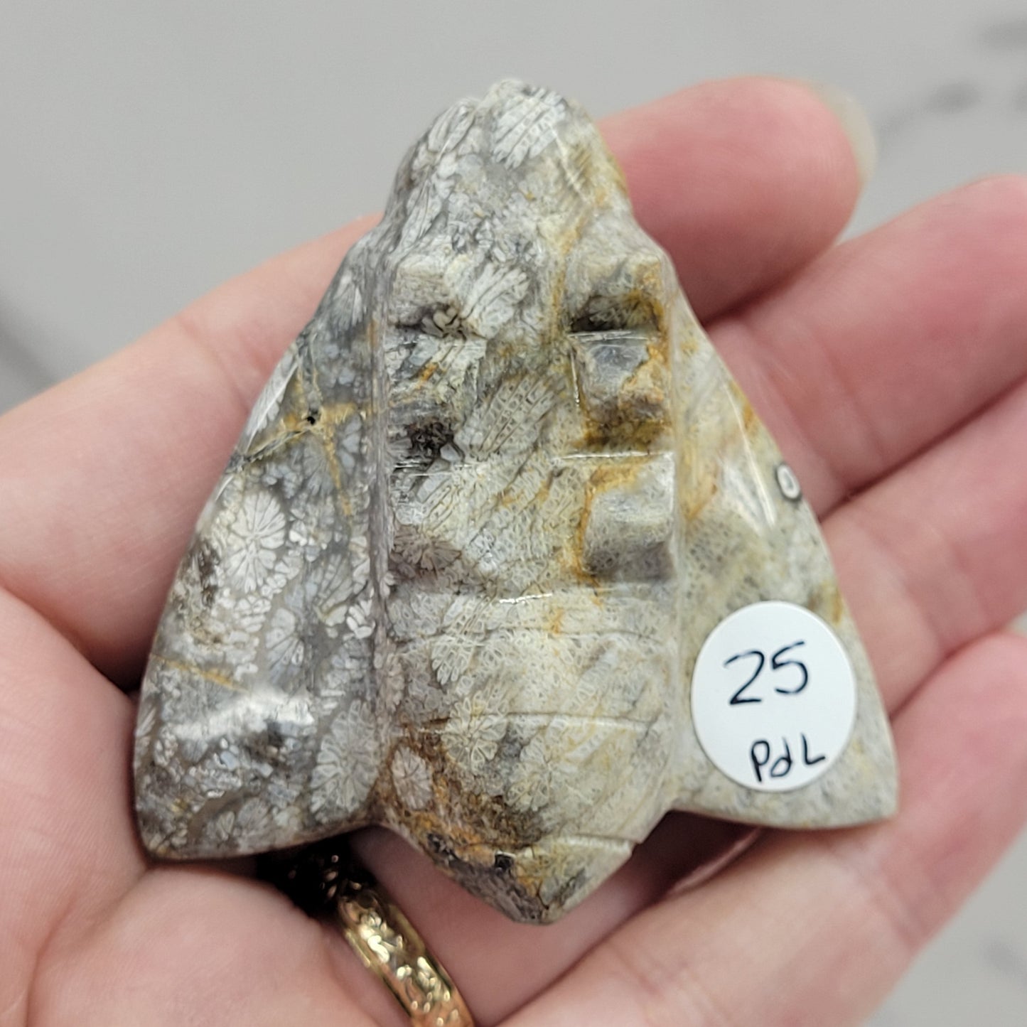 Fossil Coral Jasper bee
