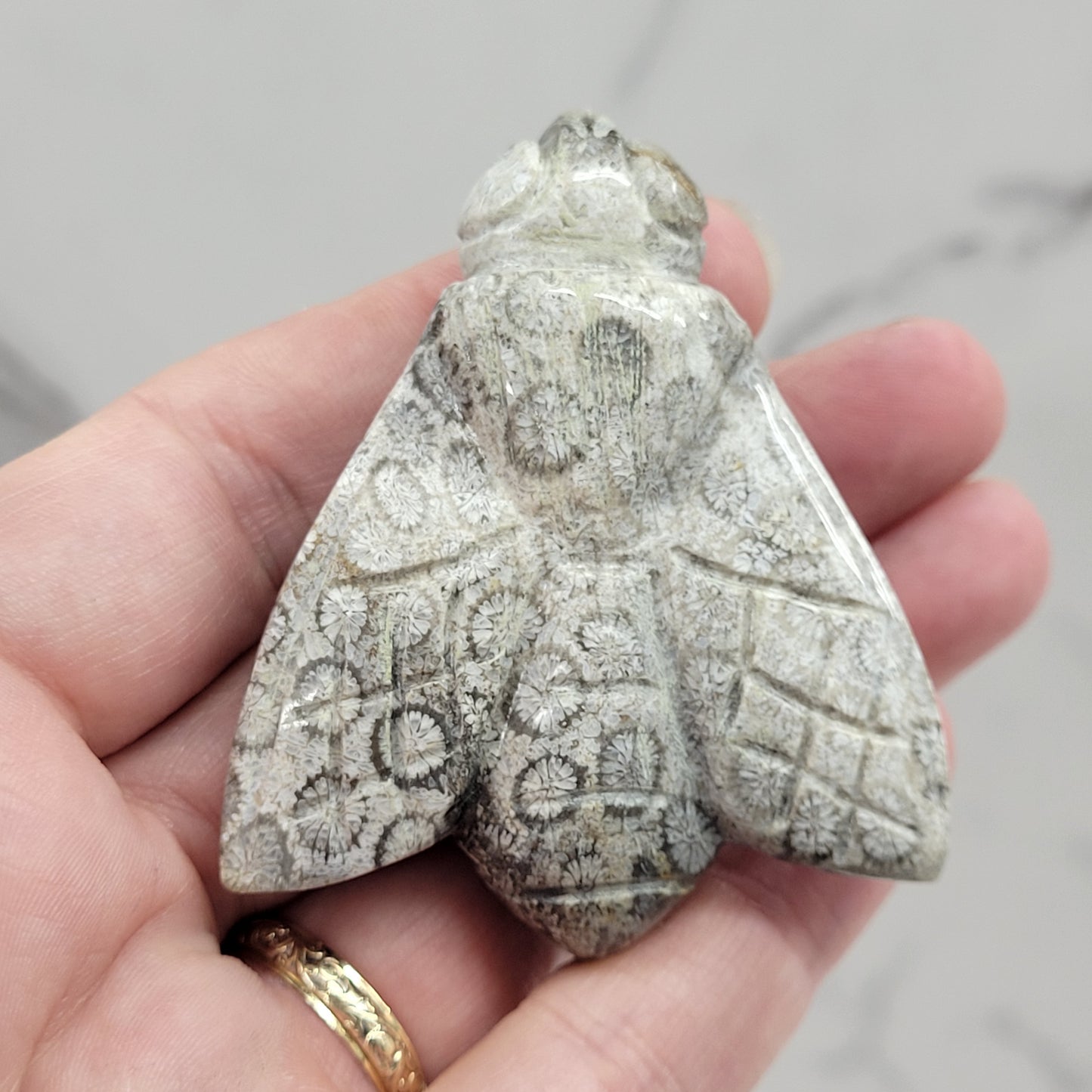Fossil Coral Jasper bee