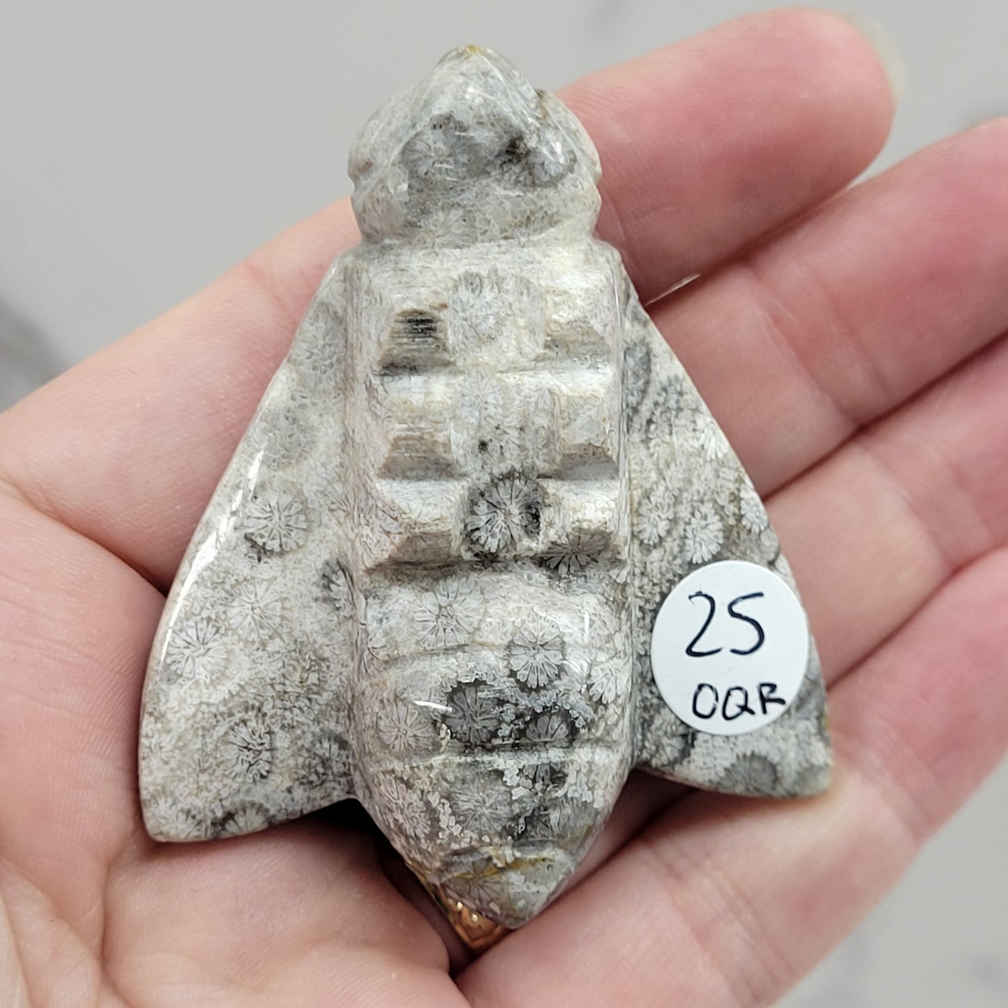 Fossil Coral Jasper bee