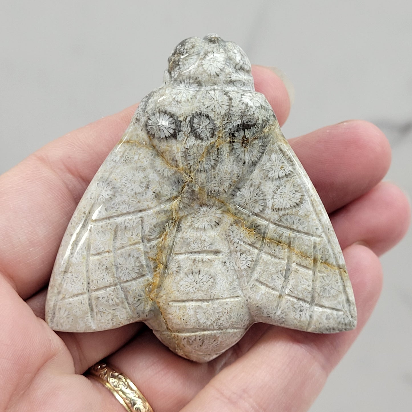 Fossil Coral Jasper bee