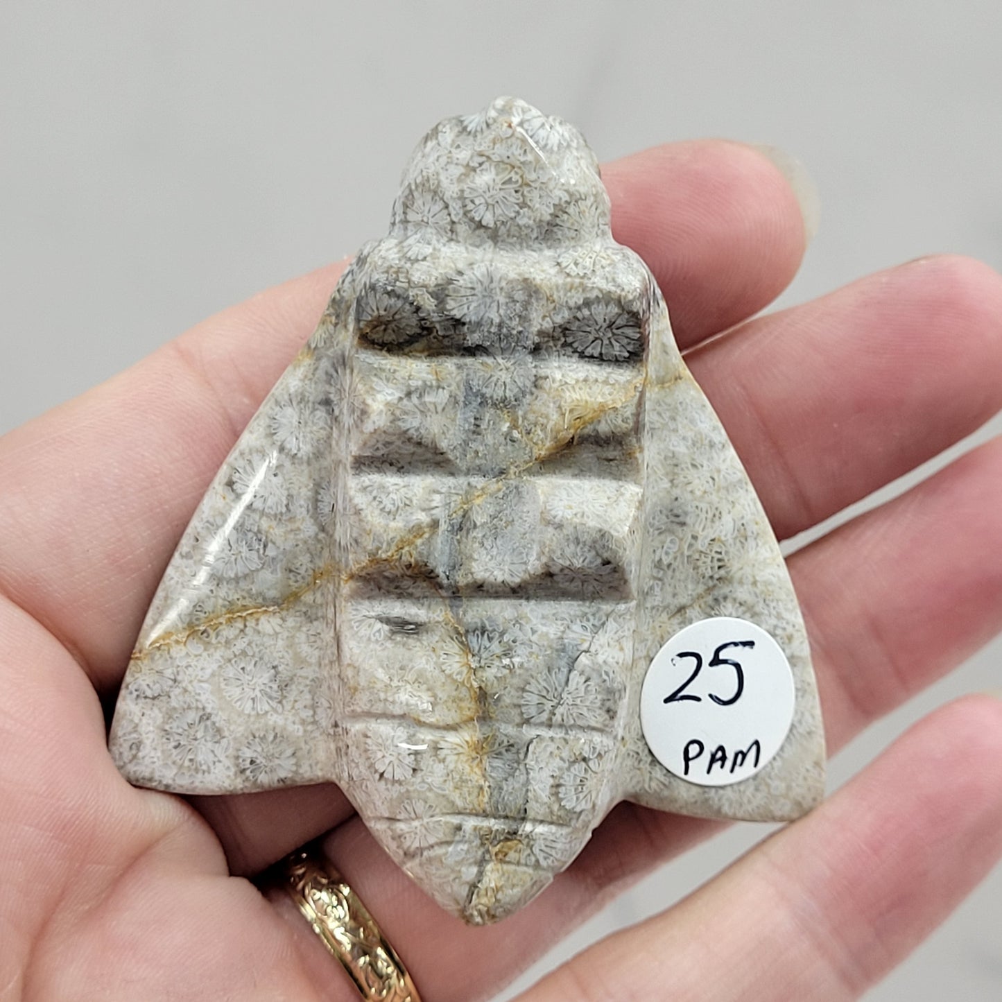 Fossil Coral Jasper bee