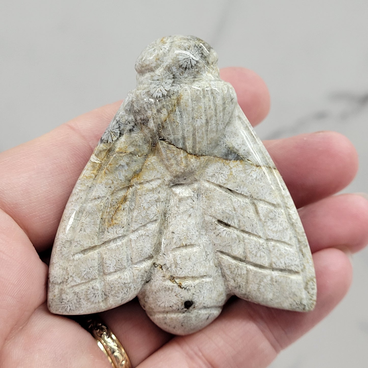 Fossil Coral Jasper bee