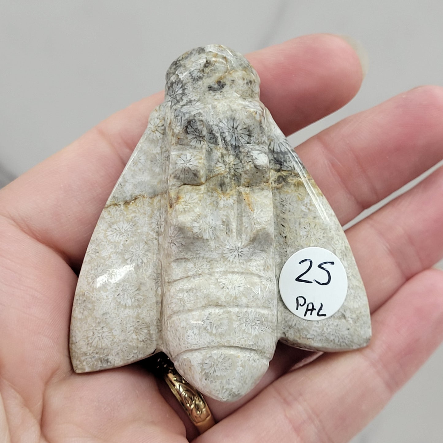 Fossil Coral Jasper bee