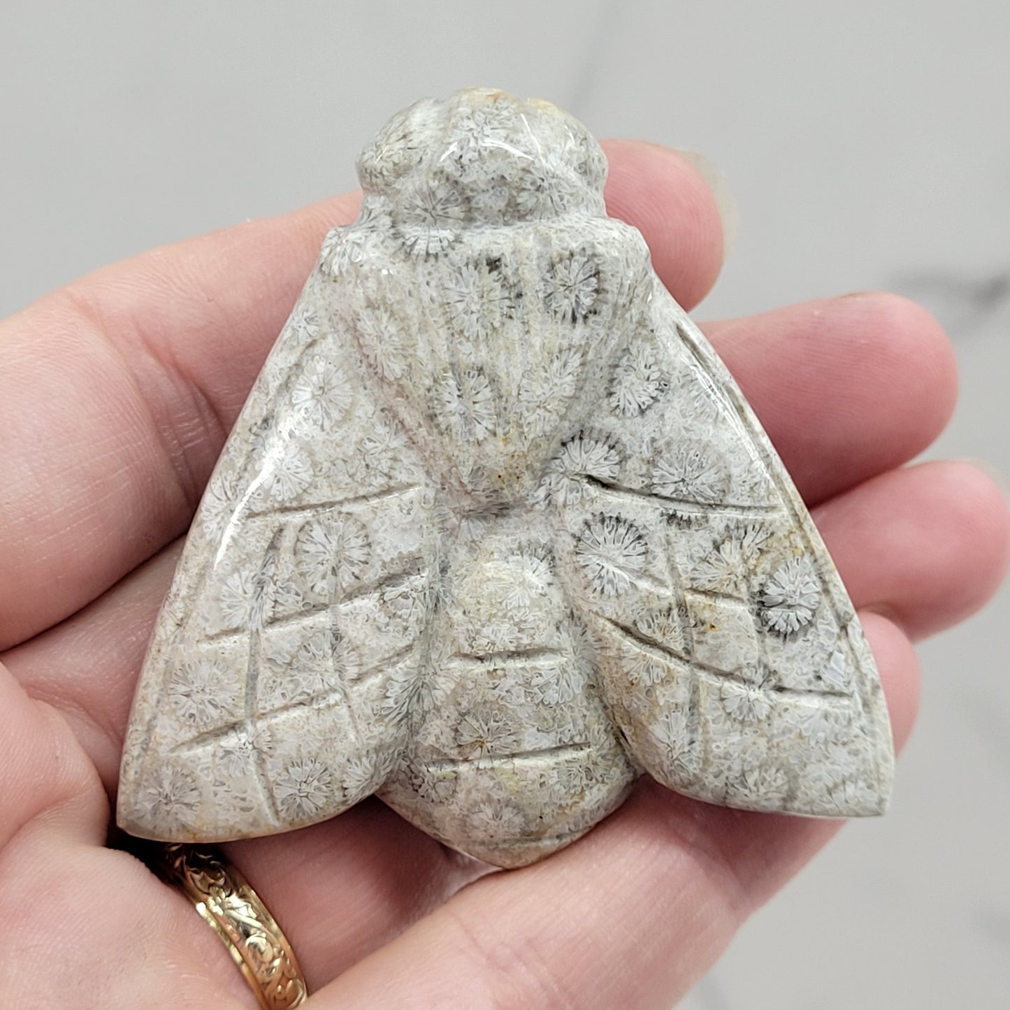 Fossil Coral Jasper bee