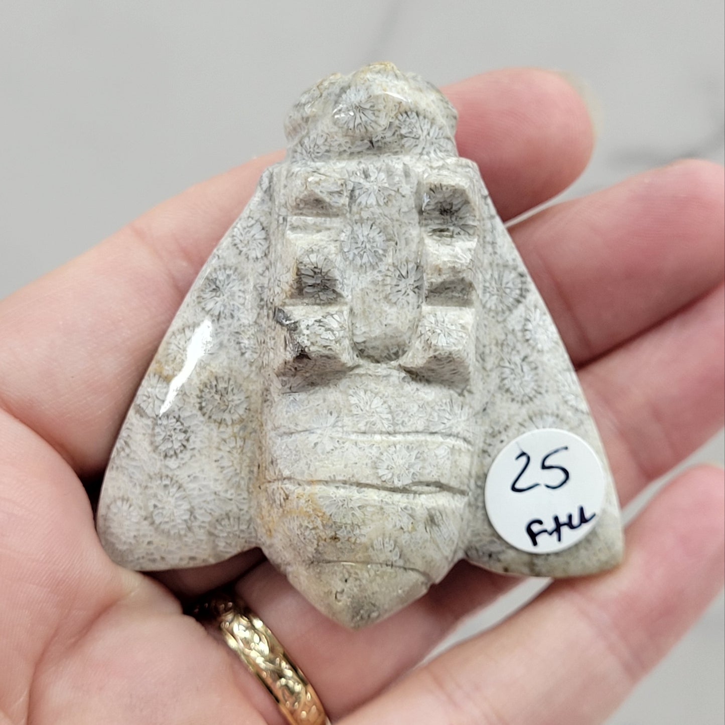 Fossil Coral Jasper bee