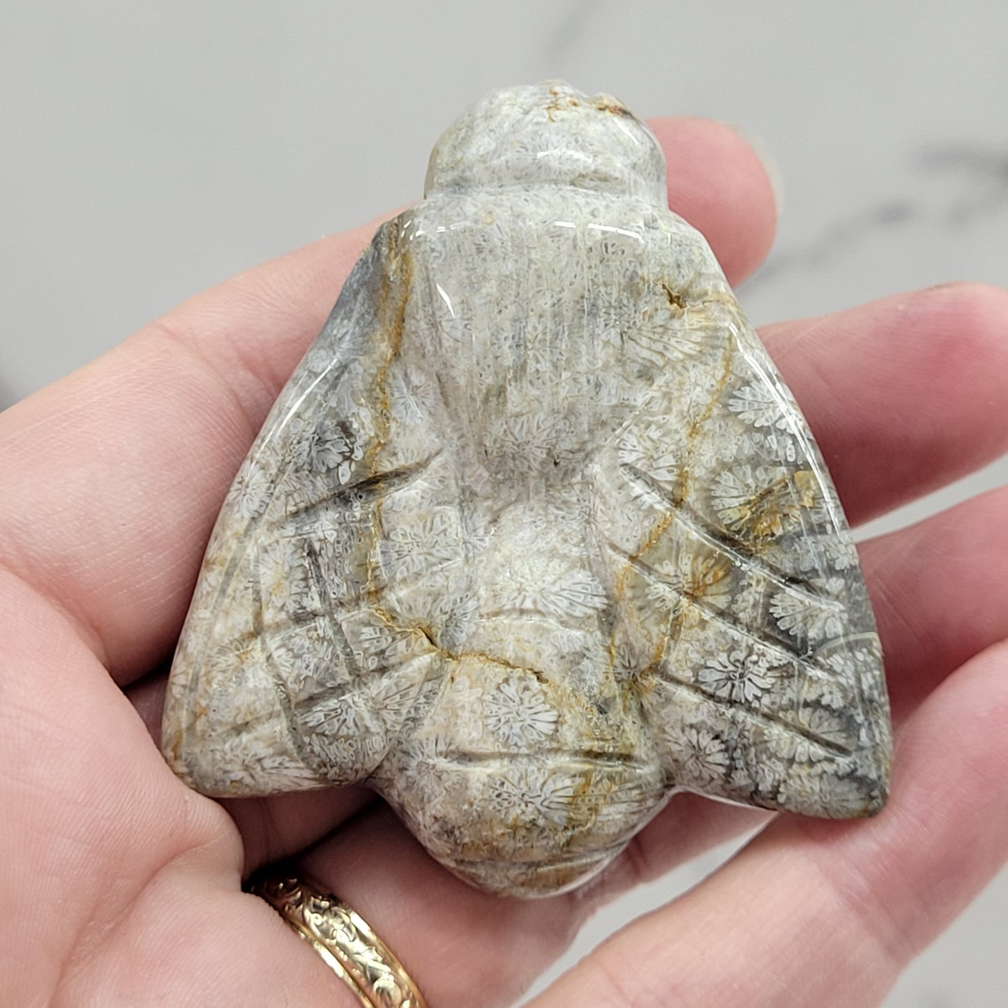 Fossil Coral Jasper bee