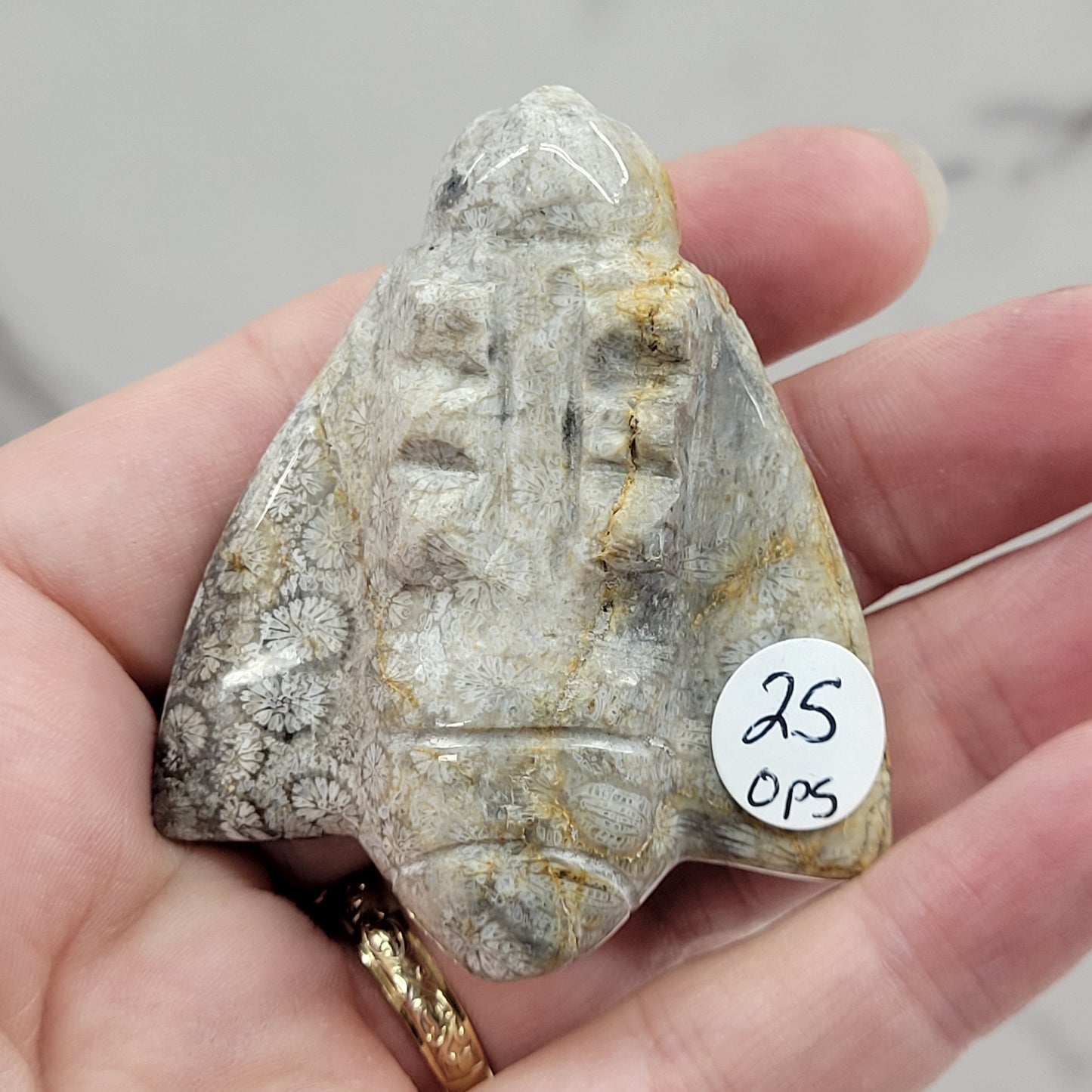 Fossil Coral Jasper bee