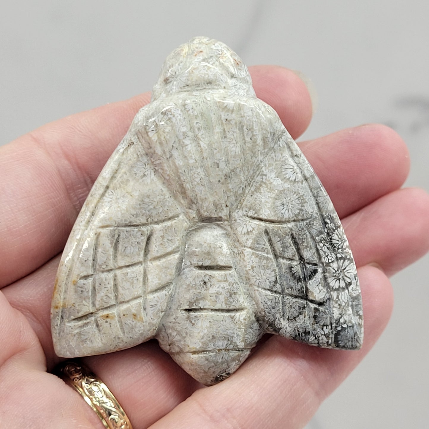 Fossil Coral Jasper bee