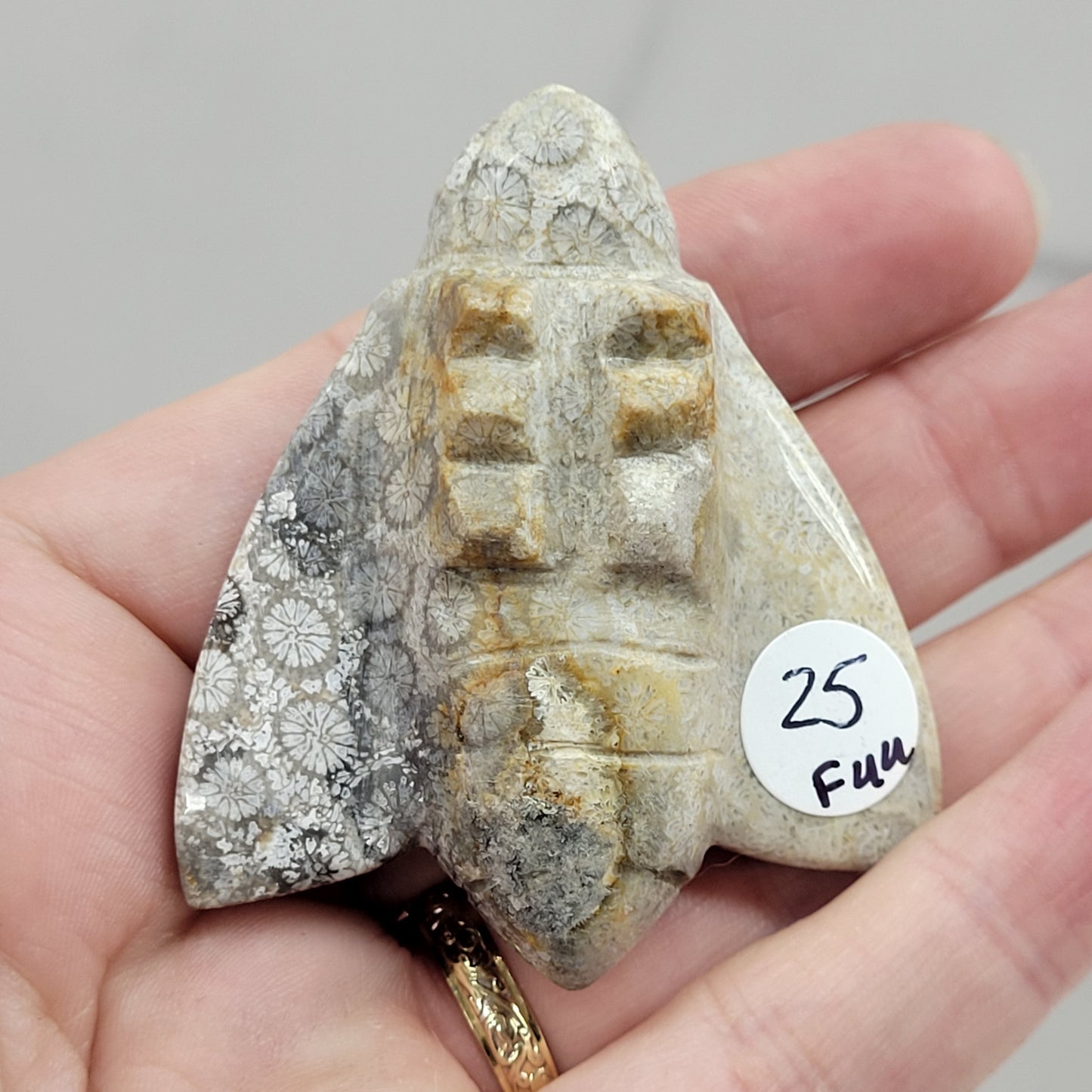 Fossil Coral Jasper bee