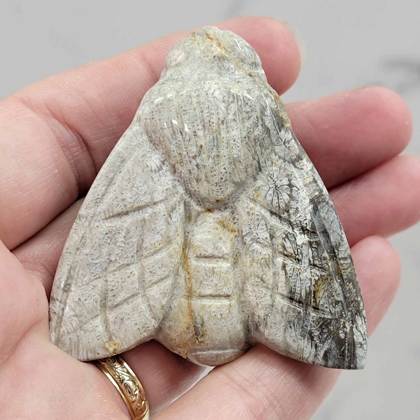 Fossil Coral Jasper bee