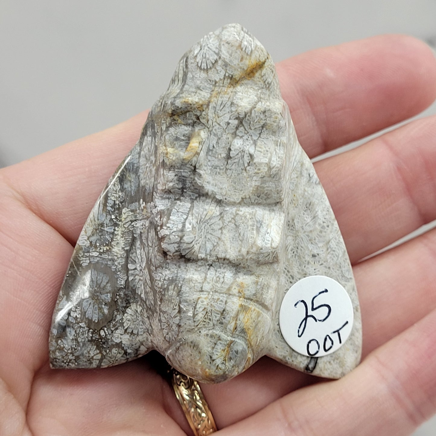 Fossil Coral Jasper bee