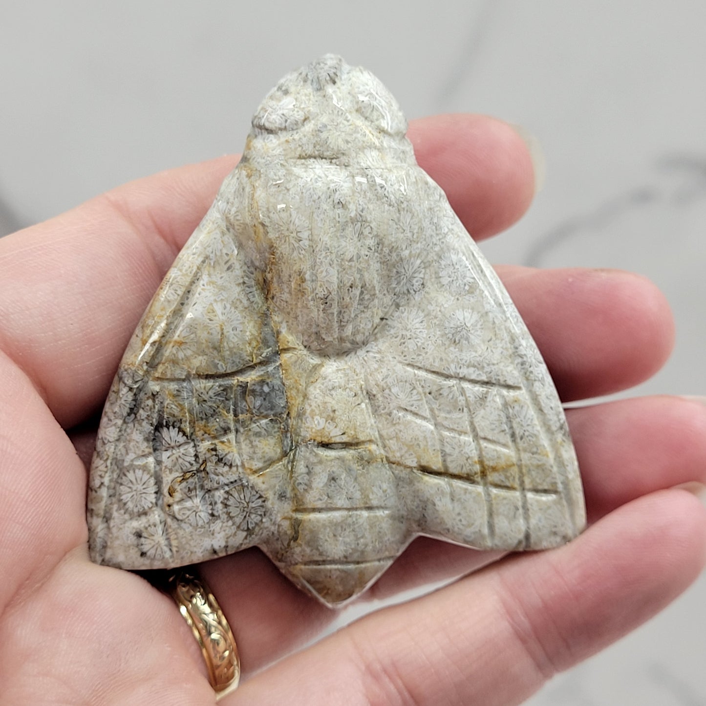 Fossil Coral Jasper bee
