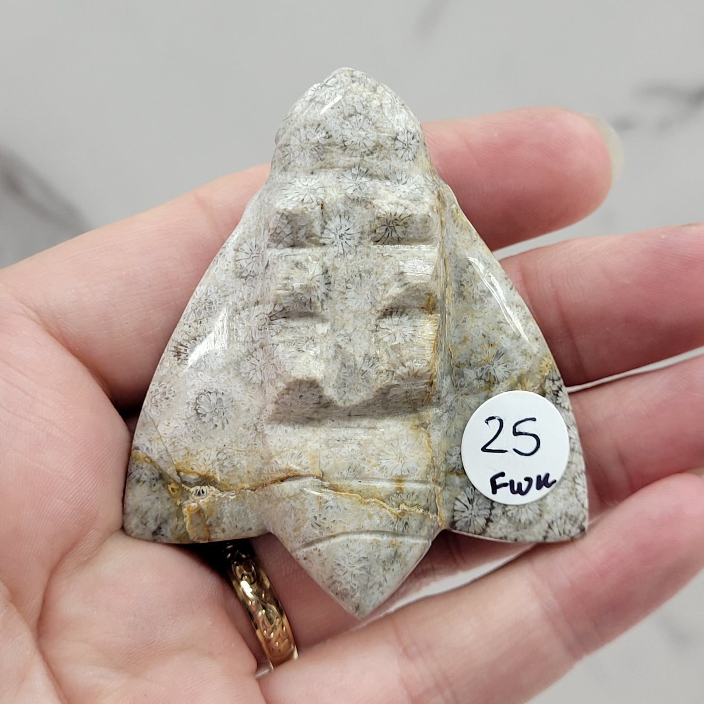 Fossil Coral Jasper bee