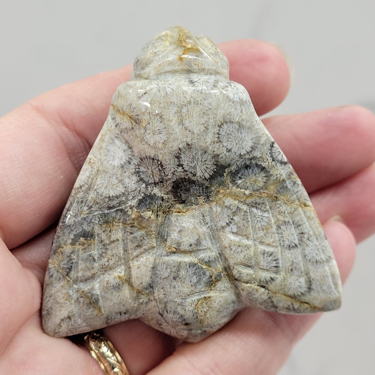 Fossil Coral Jasper bee