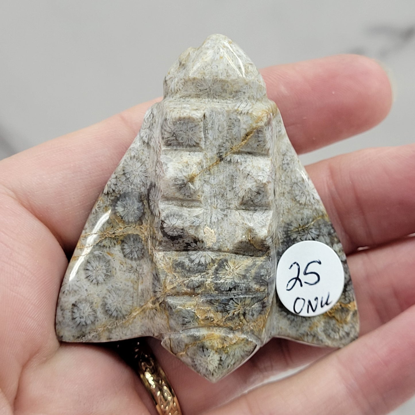 Fossil Coral Jasper bee