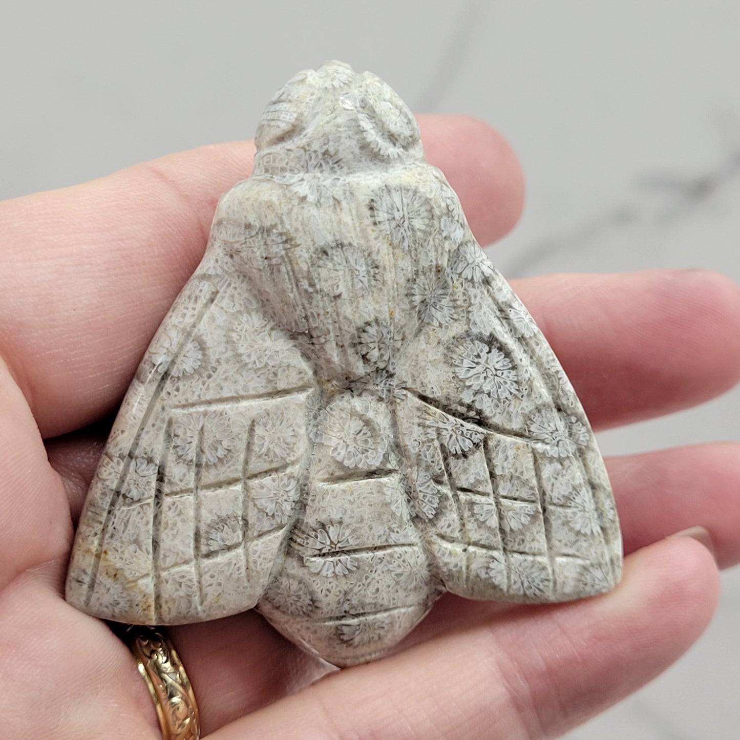 Fossil Coral Jasper bee