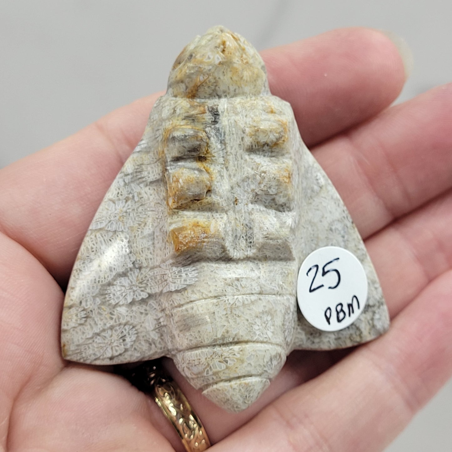Fossil Coral Jasper bee