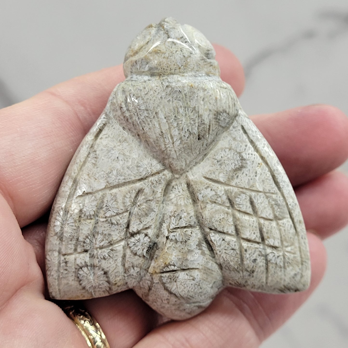 Fossil Coral Jasper bee