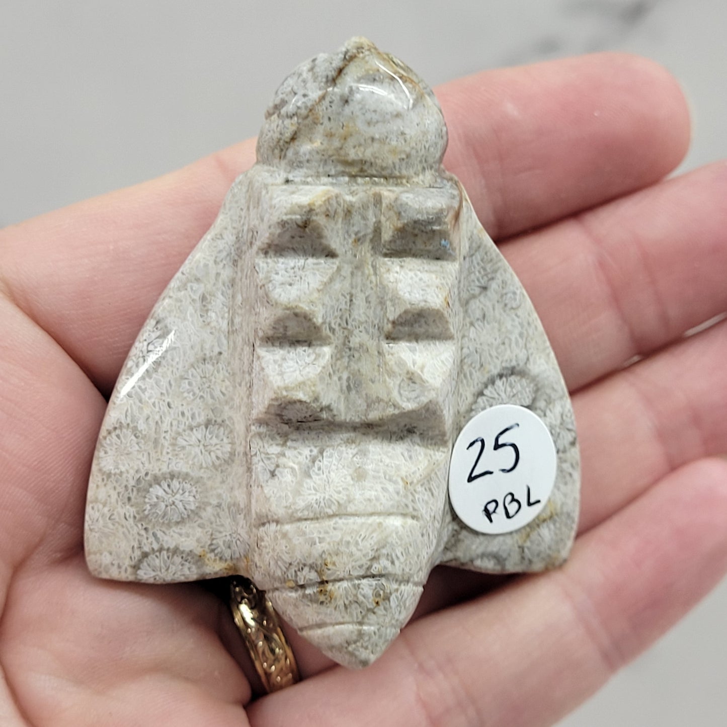 Fossil Coral Jasper bee