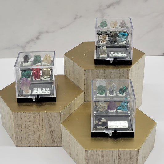 Mini specimen perky boxes