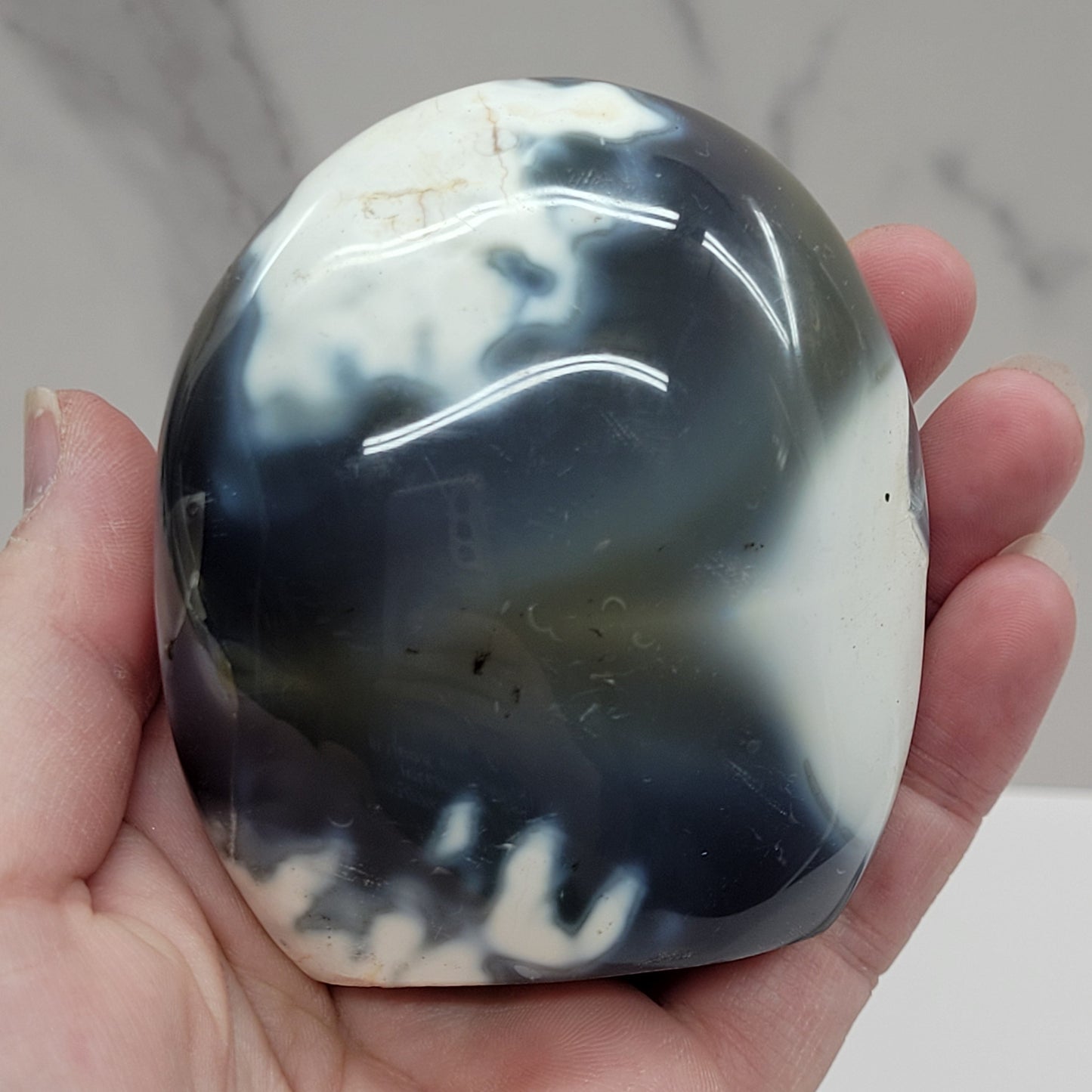 Orca Agate free form