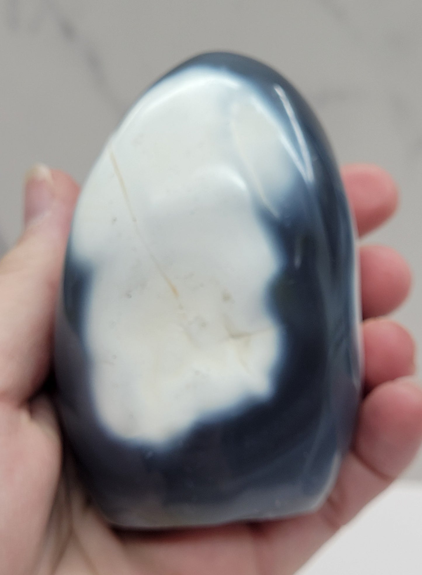 Orca Agate free form