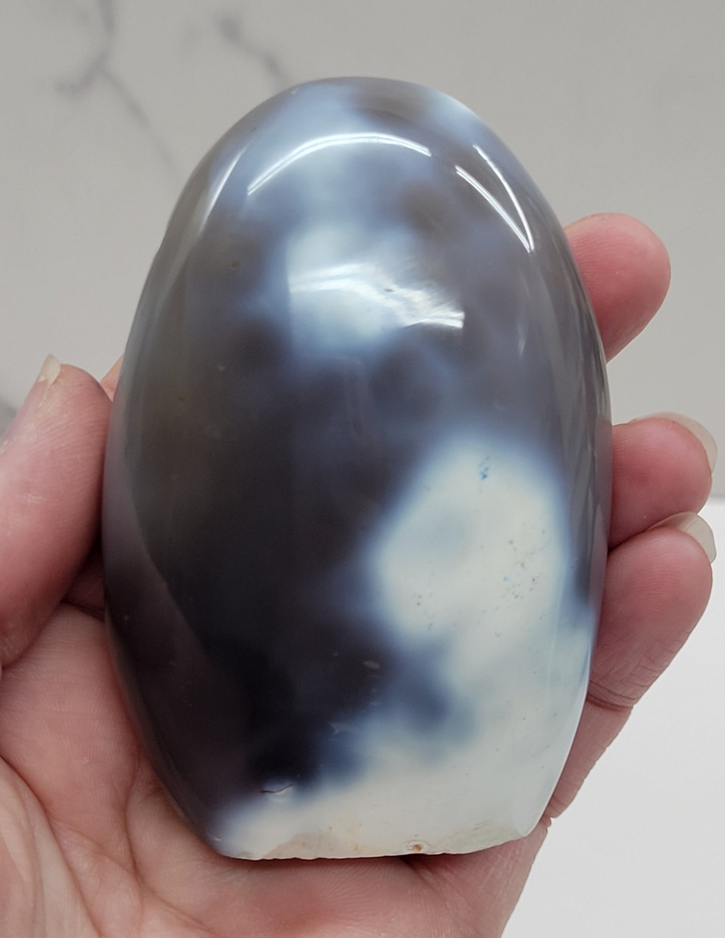Orca Agate free form