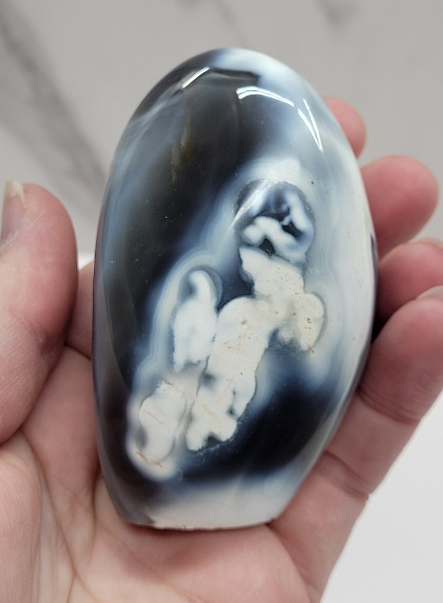 Orca Agate free form