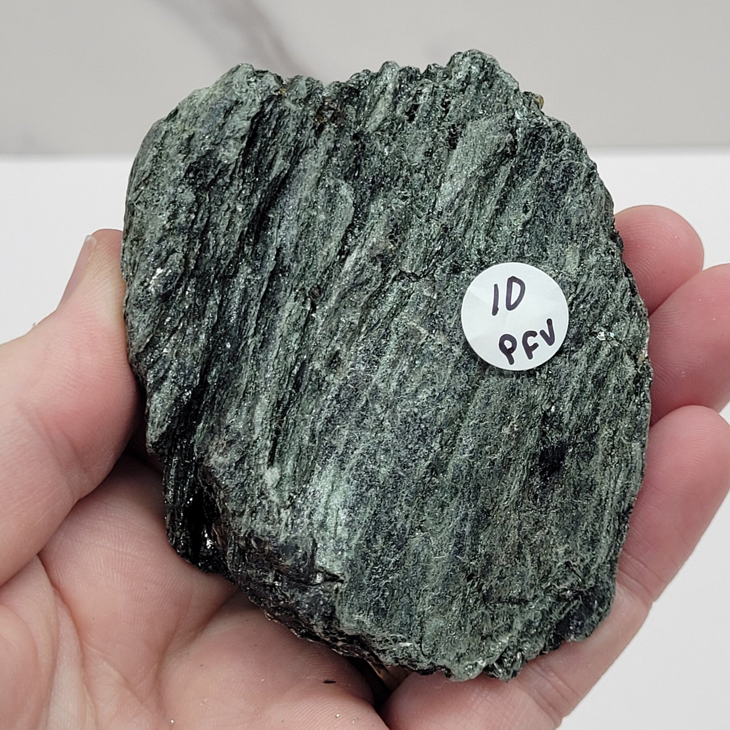 Garnet in Schist