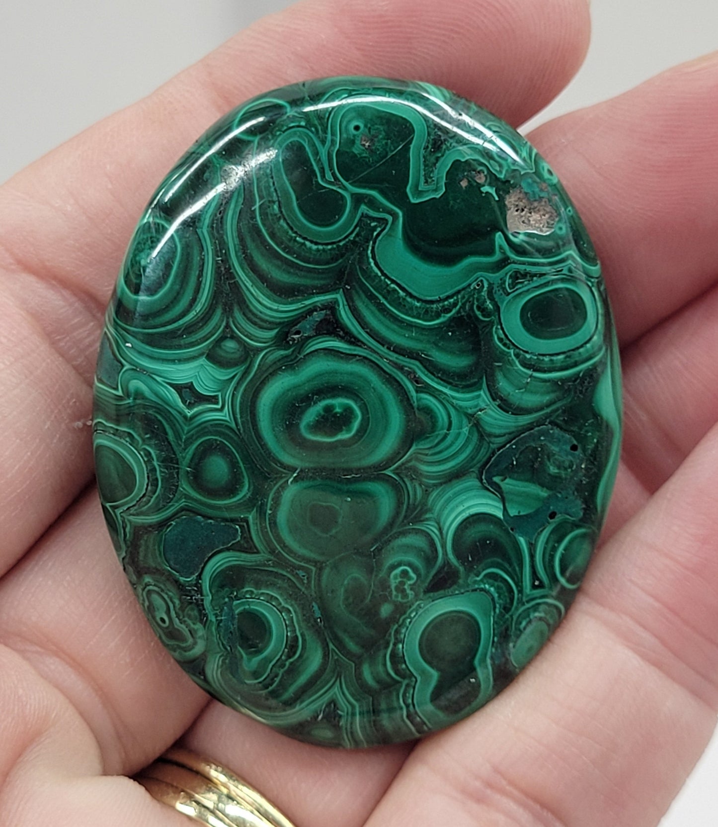 Palm - Malachite