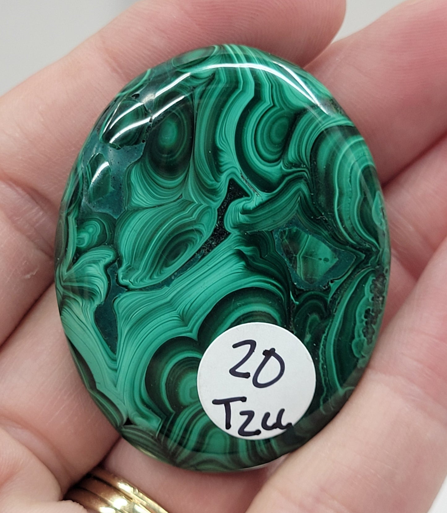 Palm - Malachite