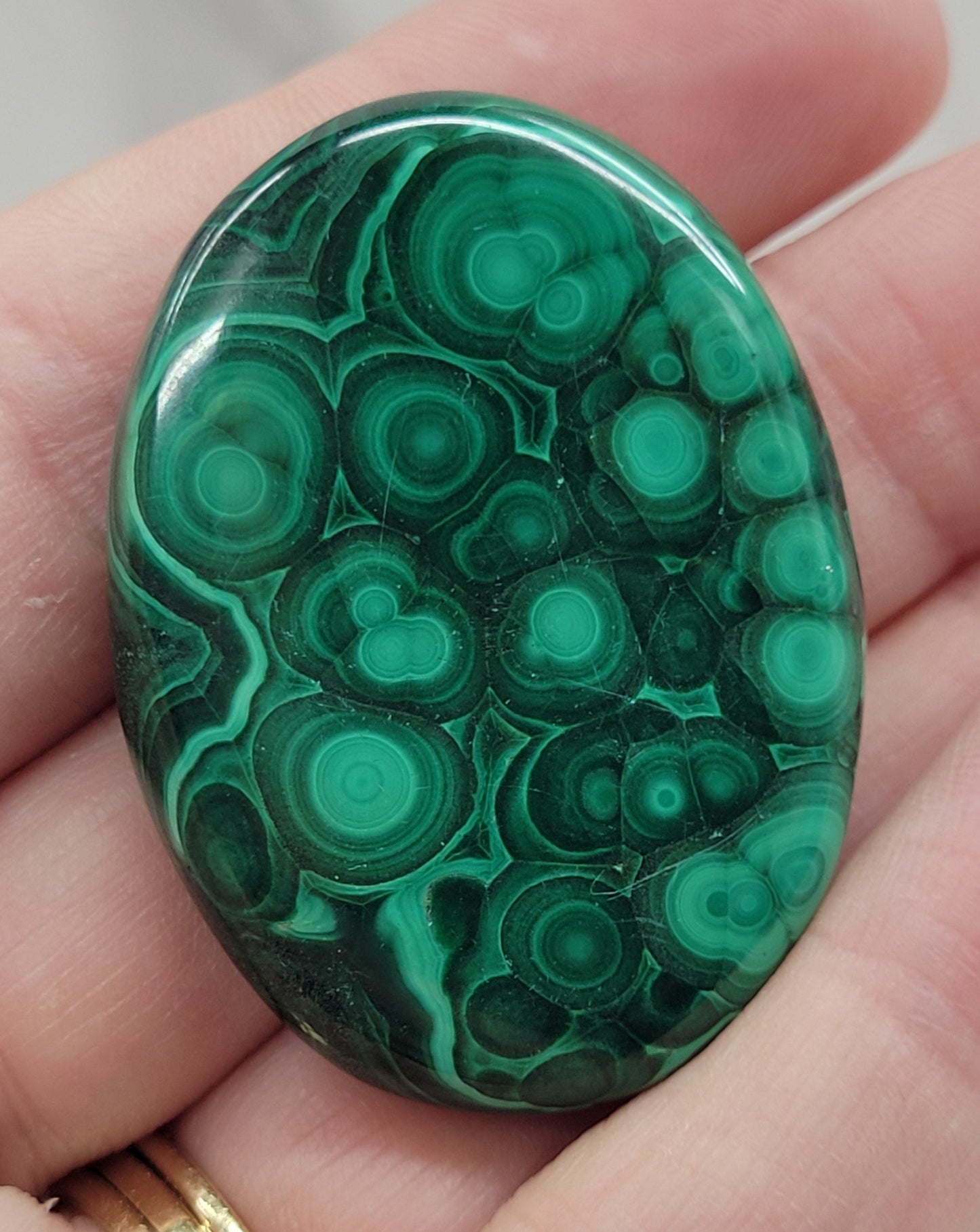 Palm - Malachite