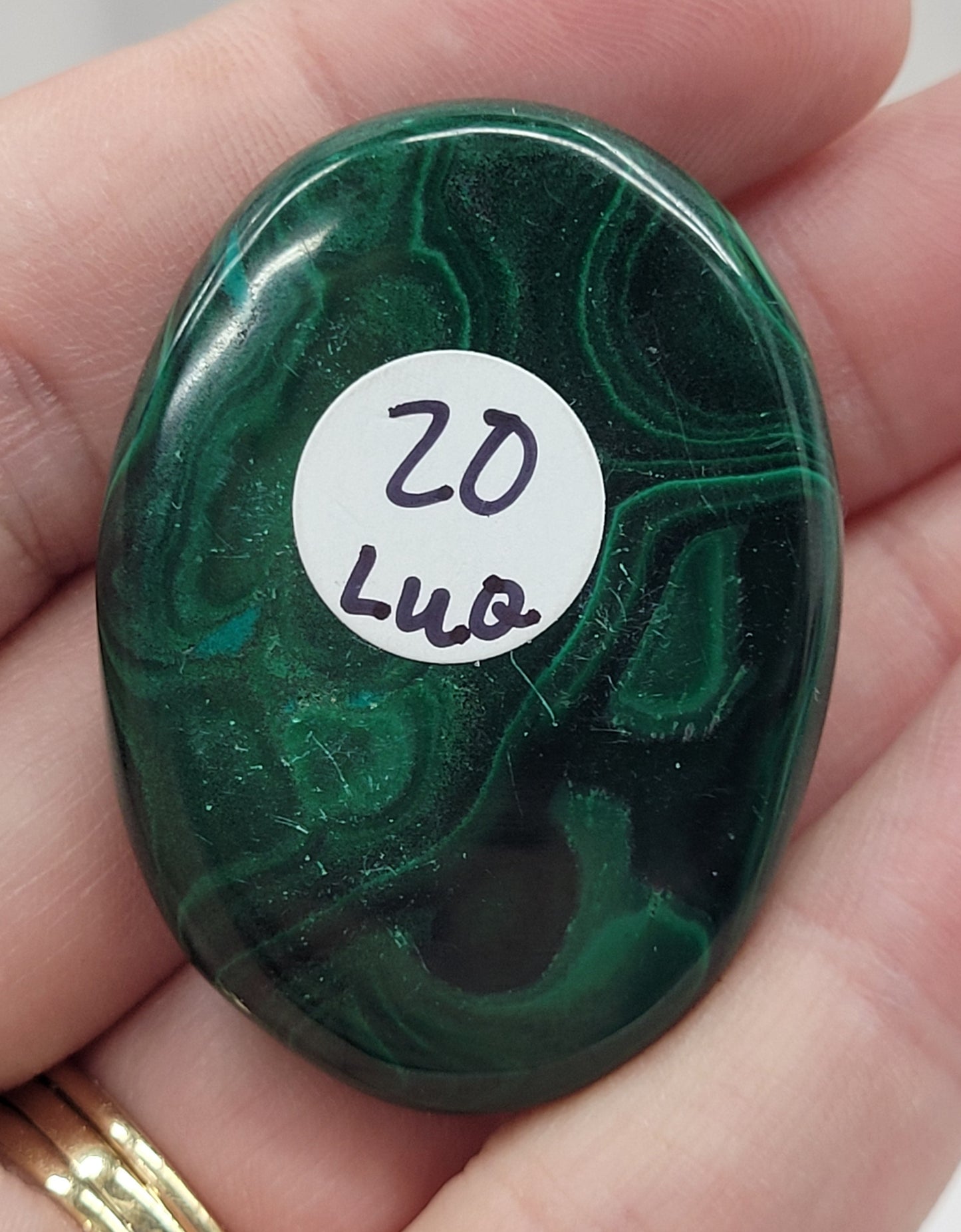 Palm - Malachite